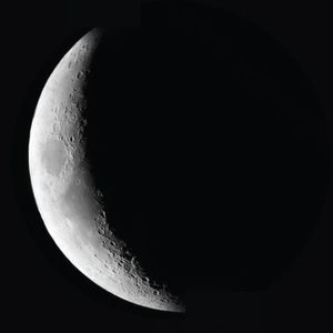 Meet your Posher, Leighton